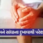 iNDIA 2026 08 06T101715.264