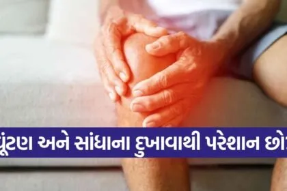 iNDIA 2026 08 06T101715.264
