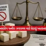 paneer3