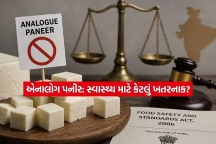 paneer3