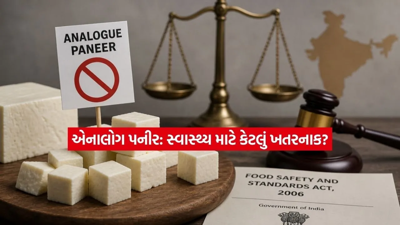 paneer3.jpg