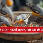 Vastu Tips