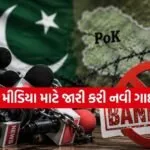 Pakistan Media