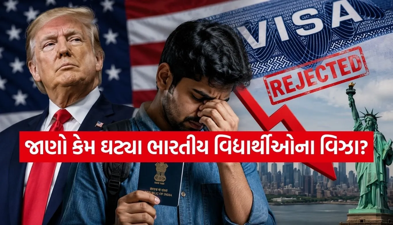 US Visa