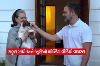 rahul gandhi2