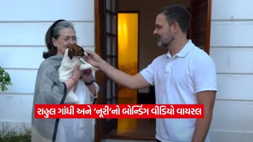 rahul gandhi2
