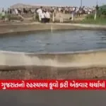 gujjarat2