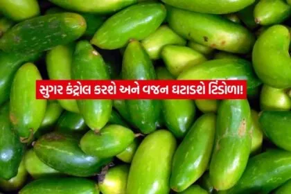 Ivy Gourd1