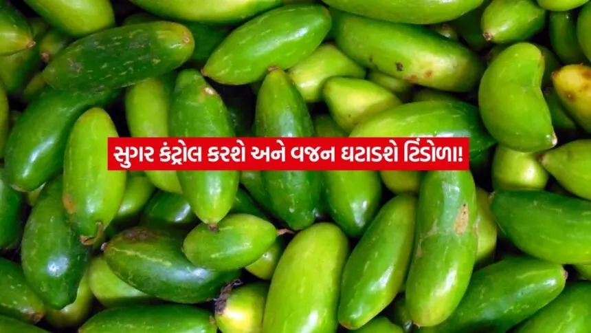 Ivy Gourd1