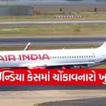 Air India Flight