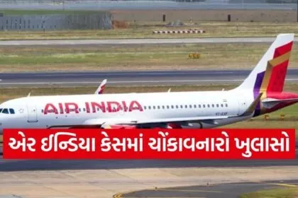 Air India Flight