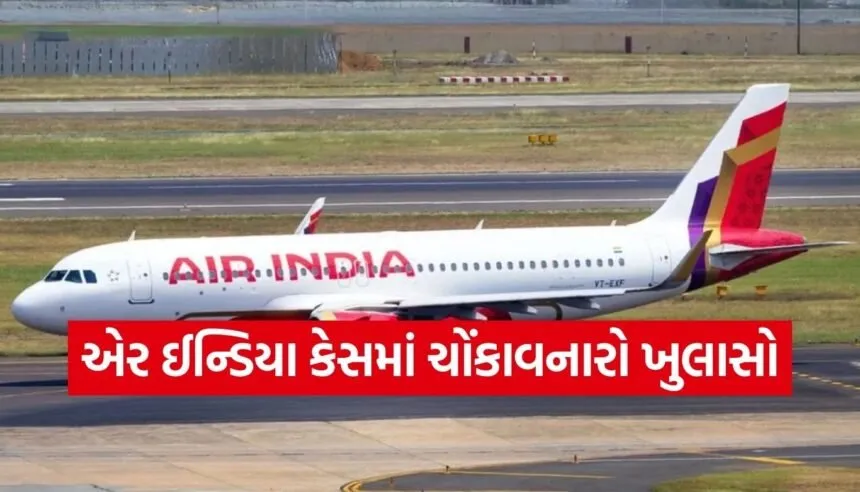 Air India Flight