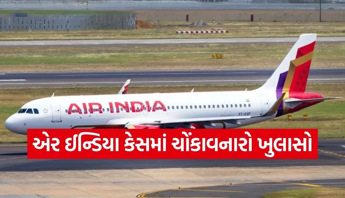 Air India Flight