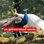 UN1