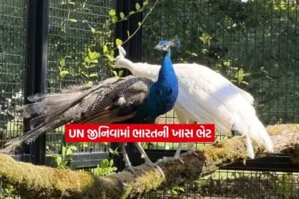 UN1