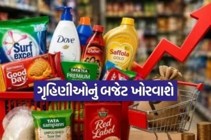 FMCG Price Hike 1008