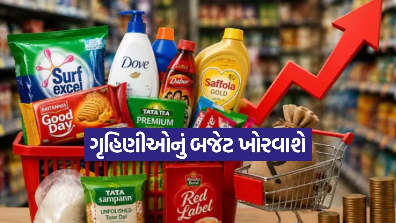 FMCG Price Hike 1008.jpg