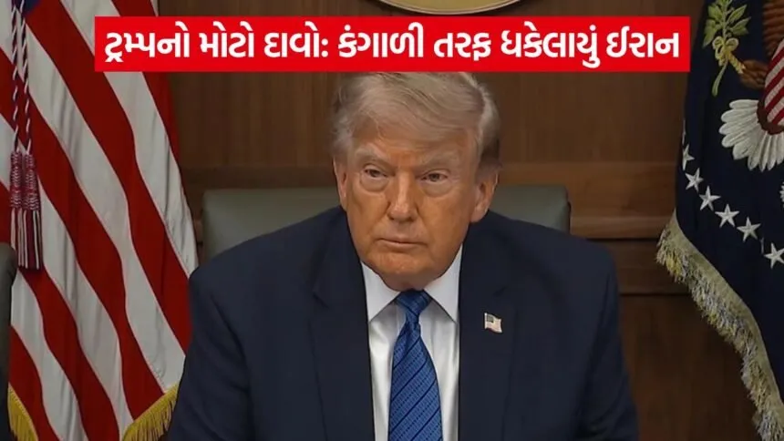 trump 1008
