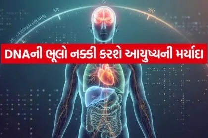 Human Aging Longevity