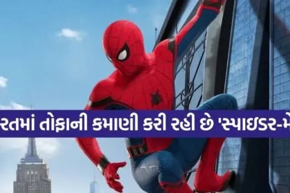 Spider Man