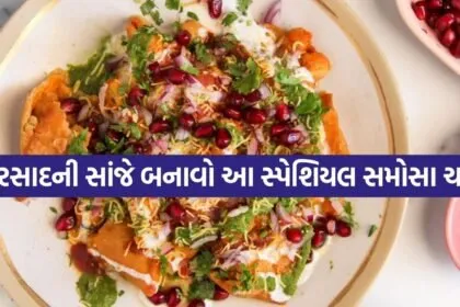 Samosa Chaat