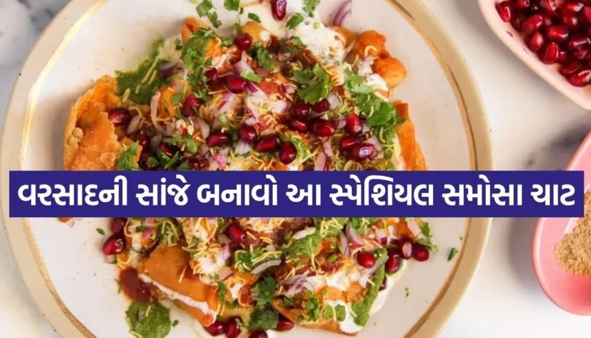 Samosa Chaat