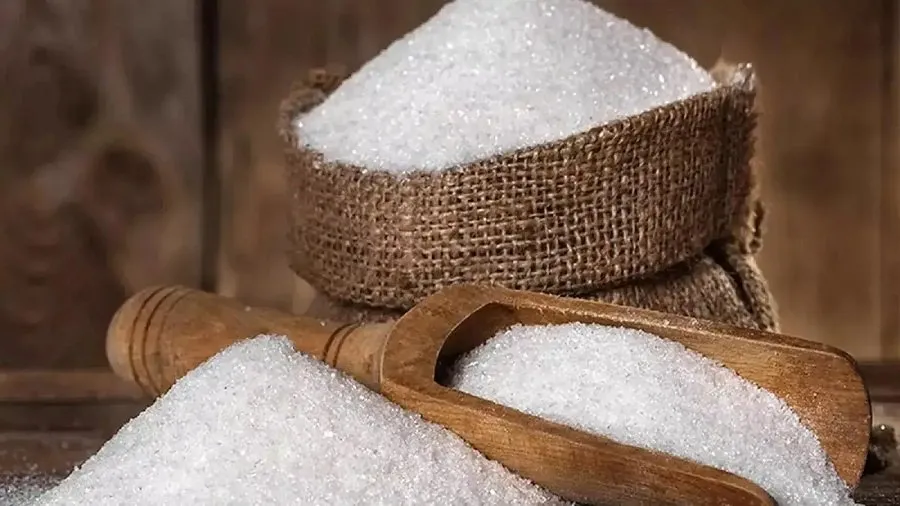 Sugar Prices