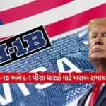 H B visa