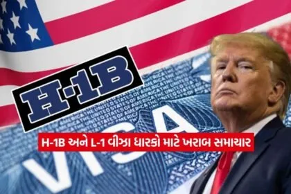 H B visa