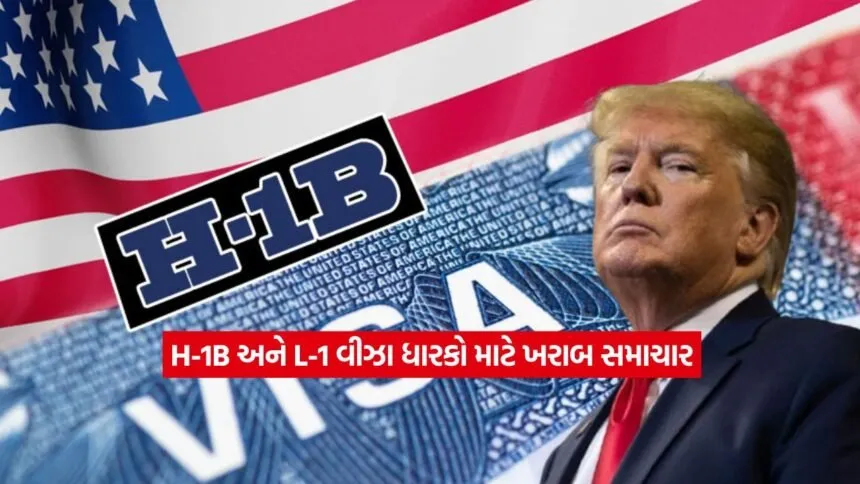 H B visa