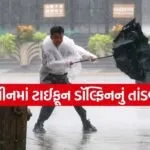 Typhoon Alert