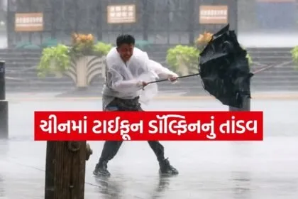 Typhoon Alert