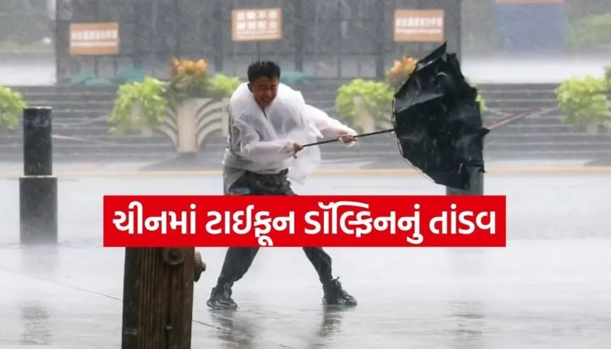 Typhoon Alert