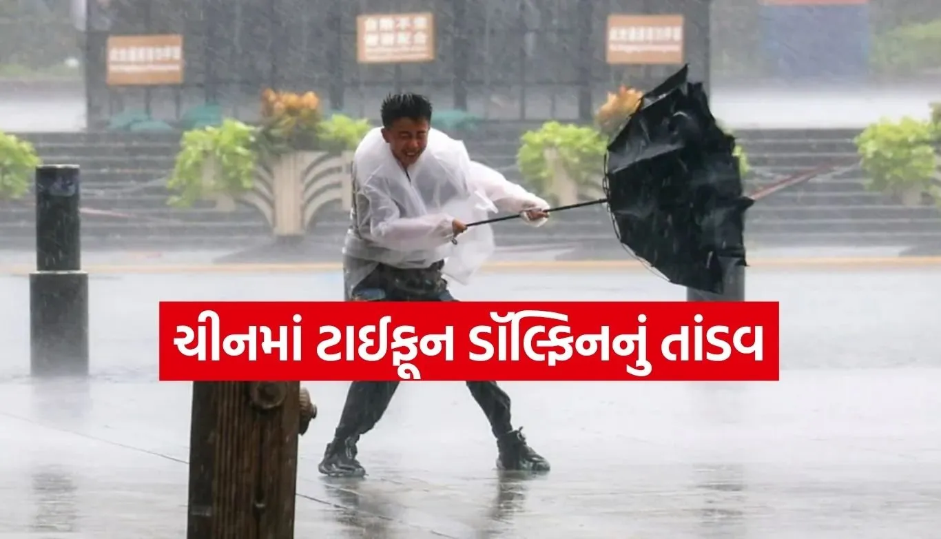 Typhoon Alert