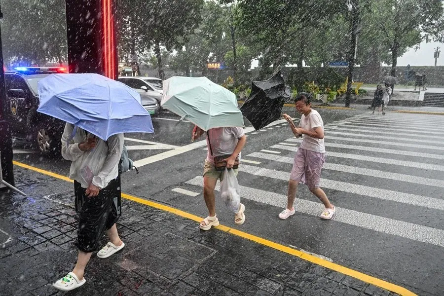 Typhoon Alert 