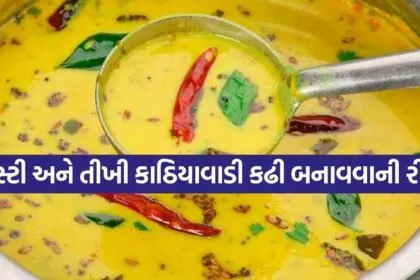 Kathiyawadi Kadhi