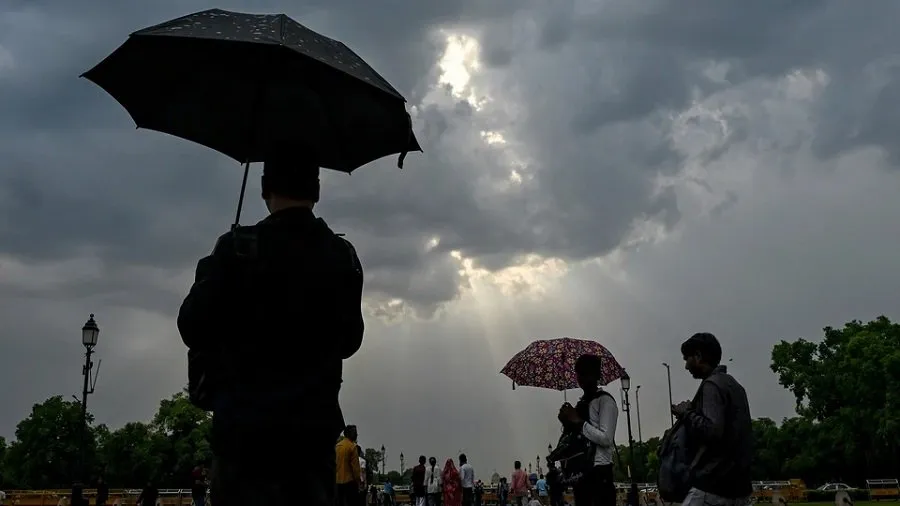 rain12.jpg