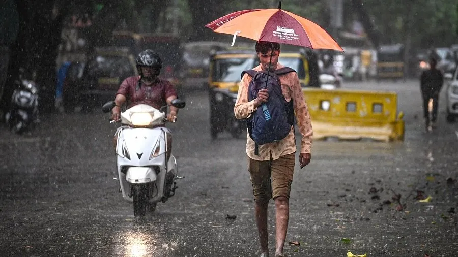 rain1.jpg