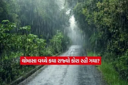 rain3