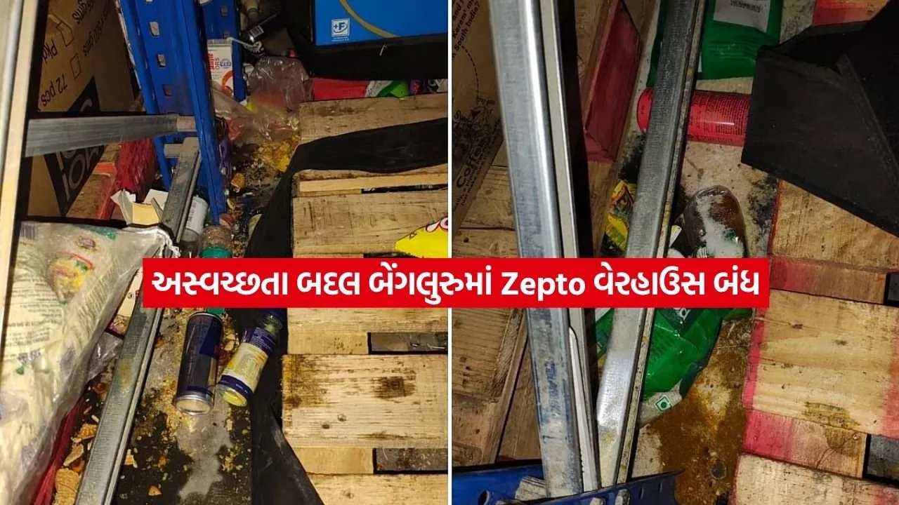 zepto.jpg