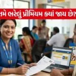 LIC Policy Fund Investment