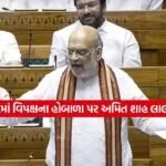 amit shah2