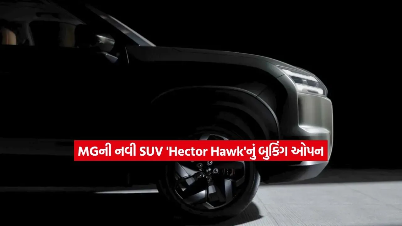 MG Hector Hawk2.jpg