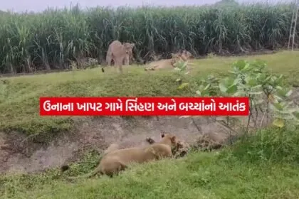geer somnath2