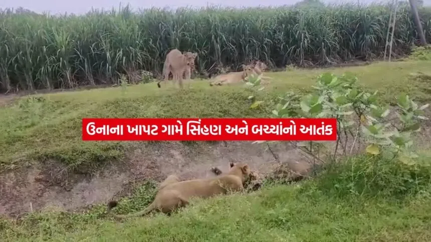 geer somnath2