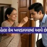 Dahi Cheeni