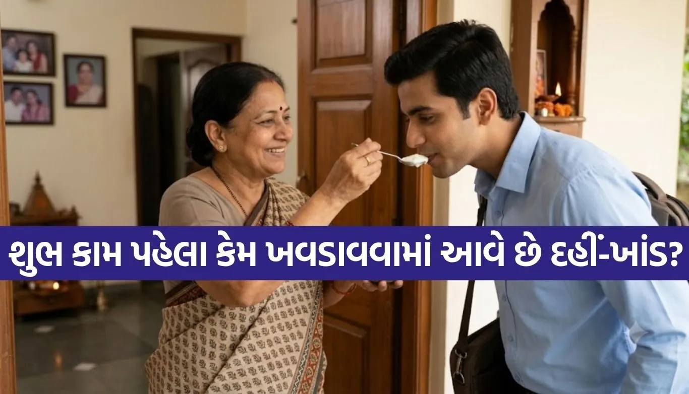 Dahi Cheeni