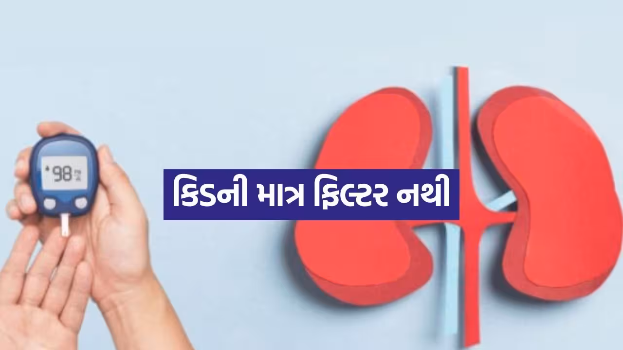 Kidney And Diabetes