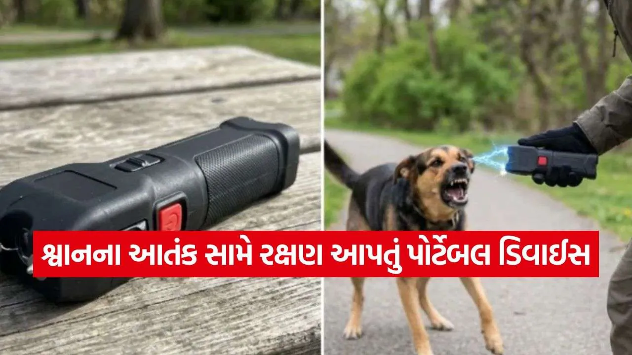 Dog Attack Protection