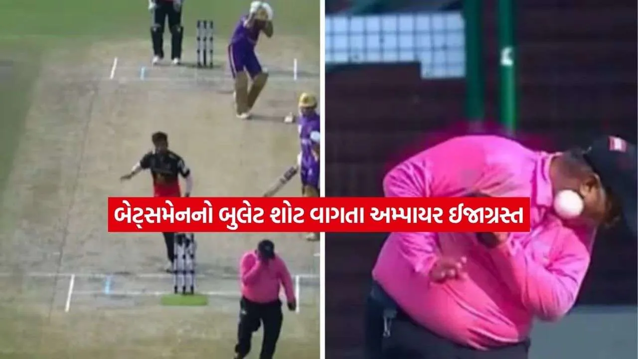 cricket.jpg